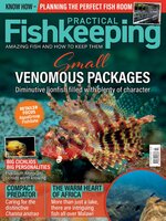Practical Fishkeeping